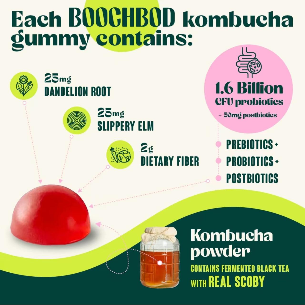 BoochBod Probiotic Kombucha Gummies – Bloating Relief | Gut Health, Digestion, & Metabolism Support | Pre/Postbiotics, Slippery Elm, Dandelion Root, Fiber Supplement